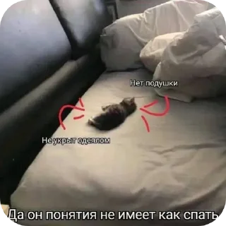 Sticker Кошары - 10