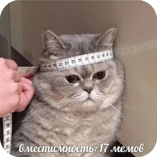 Sticker Кошары - 11