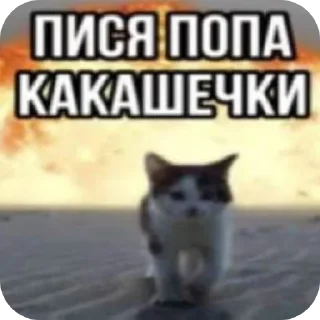 Sticker Кошары - 8