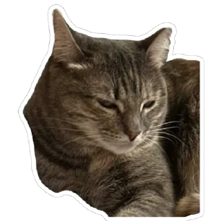 Стикер Кошицы - 9