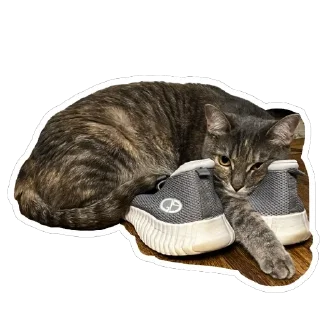 Стикер Кошицы - 4