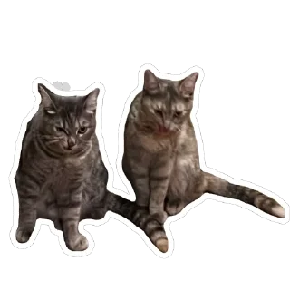 Стикер Кошицы - 10