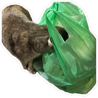 Стикер Кошицы - 8