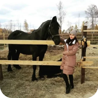 Sticker Кошка - 0