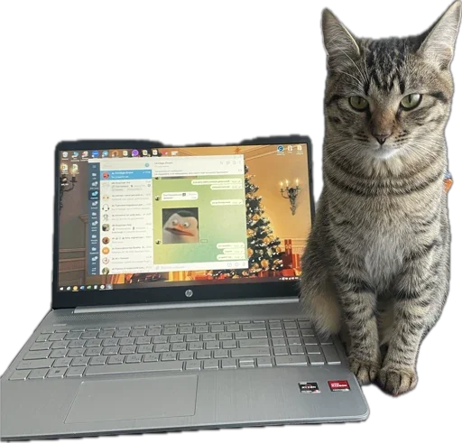 Sticker KoshkaNala - 1