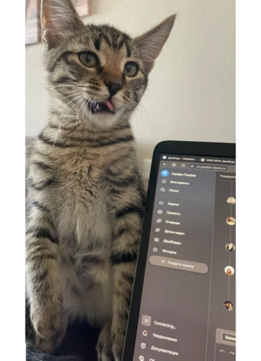 Sticker KoshkaNala - 1