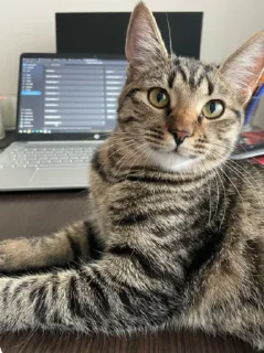 Sticker Нала - 5