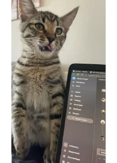 Sticker Нала - 11