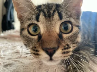 Sticker Нала - 1