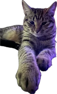 Sticker Нала - 6