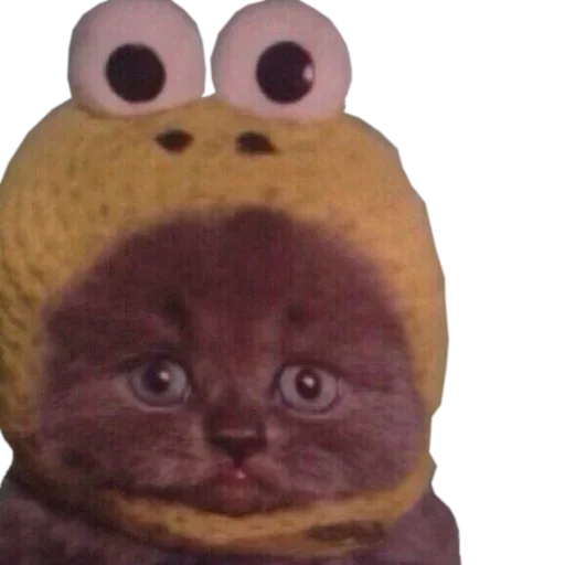 кошка фаршированный млекопитающее