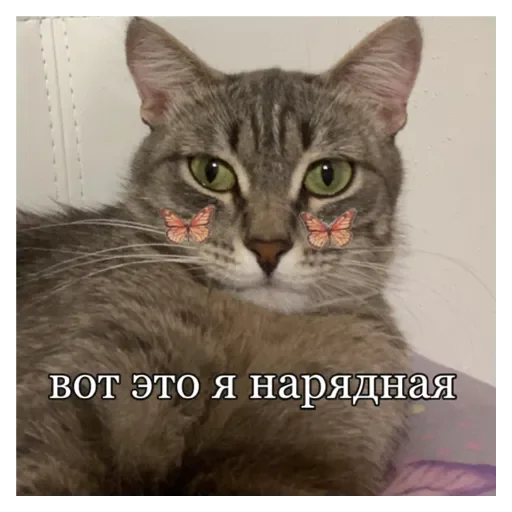 Стикер Кошки - 9