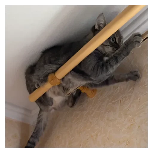 Стикер Кошки - 7