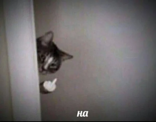 Стикер 😼 - 8