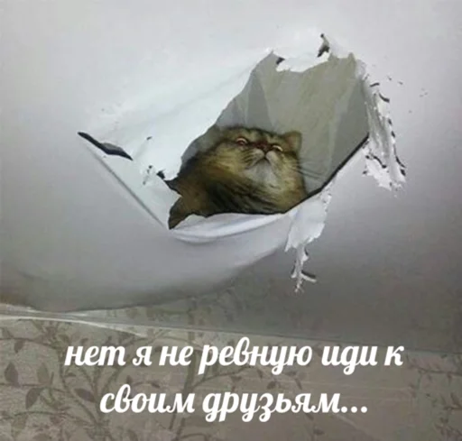 Стикер 😼 - 6