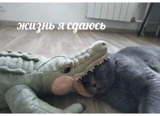 Стикер 😼 - 5