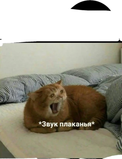 Стикер 😼 - 4