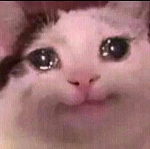 Стикер 😼 - 3