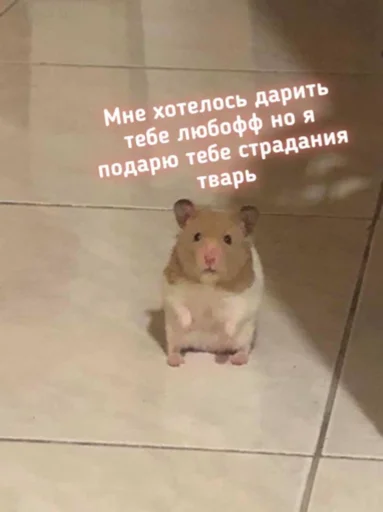 Стикер 😼 - 0