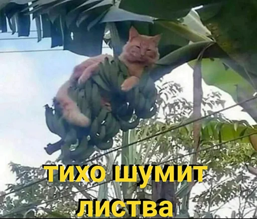 Sticker KoshkoyPoGolove - 1