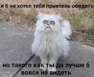 Sticker кошкой по голове https://vk.com/kishikosh - 9