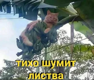 Sticker кошкой по голове https://vk.com/kishikosh - 8