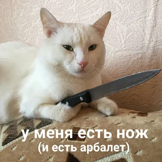 Sticker кошкой по голове https://vk.com/kishikosh - 1