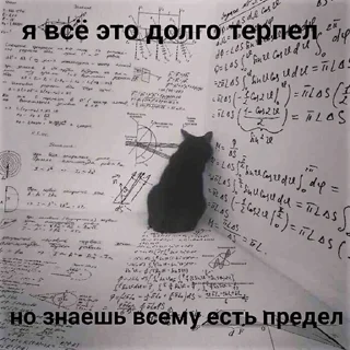 Sticker кошкой по голове https://vk.com/kishikosh - 5