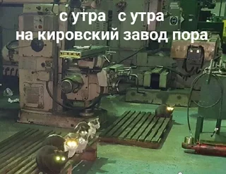 Sticker кошкой по голове https://vk.com/kishikosh - 4