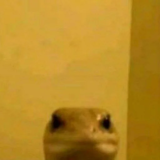 Sticker Kossherhayemmd - 1