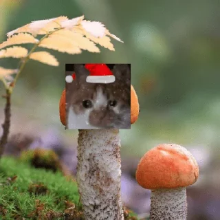 Sticker Kostya_Furri - 1