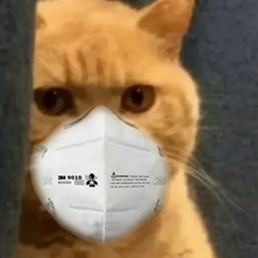 Sticker Kostyakrasava - 1