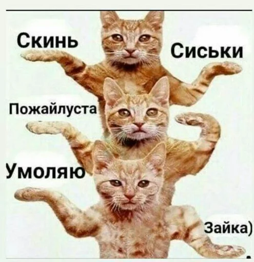 Sticker Kostyakrasava - 1