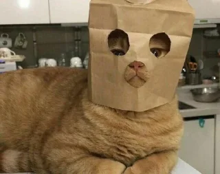 Стикер ЗайкаХозяйка - 2