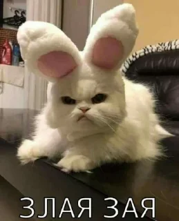 Стикер ЗайкаХозяйка - 5