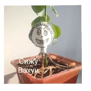 Sticker Костяя - 9