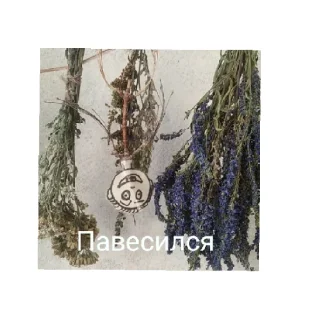 Sticker Костяя - 3