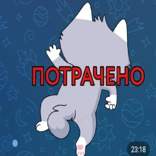 Стикер Ромка кот - 1