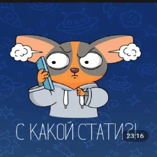 Стикер Ромка кот - 6