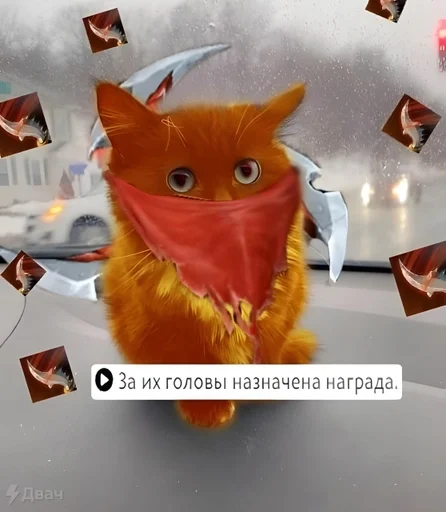 кошка игрушка животное