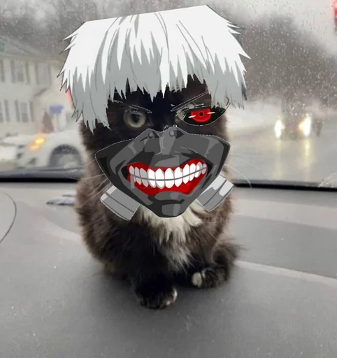 мультфильм мех