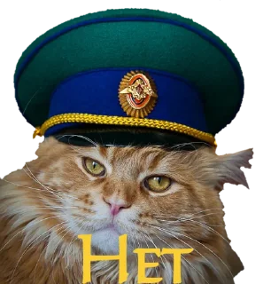 Стикер Котяра - 0