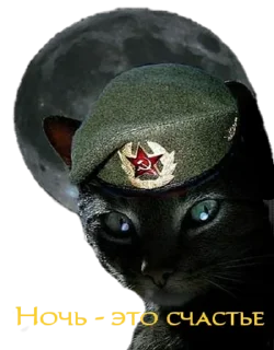 Стикер Котяра - 1