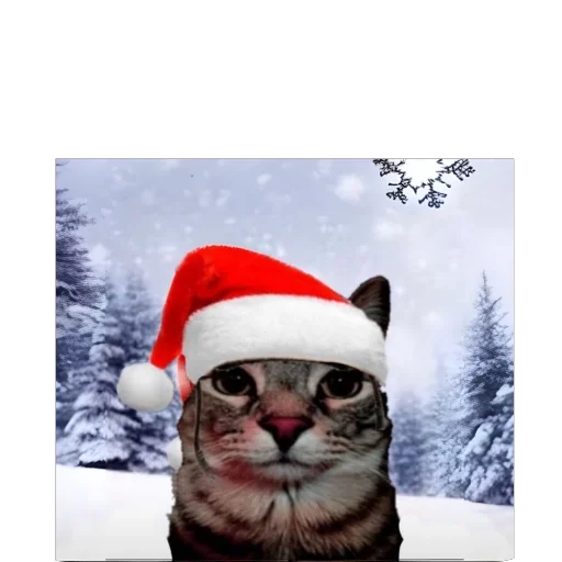 Sticker KotTupoj - 1