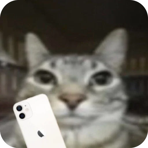 Sticker KotTupoj - 1