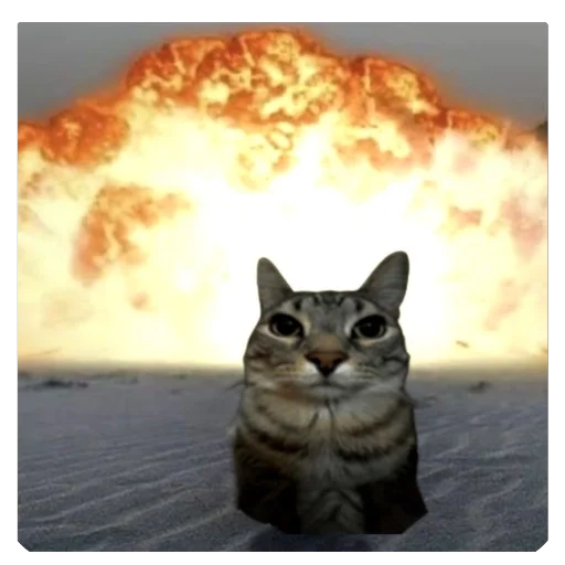 Sticker KotTupoj - 1