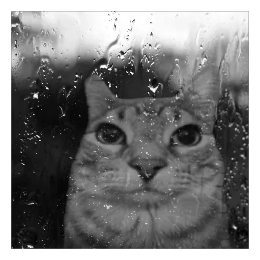 Sticker KotTupoj - 1