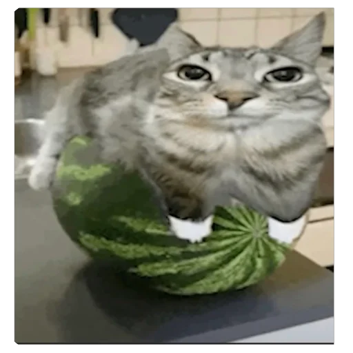 Sticker KotTupoj - 1