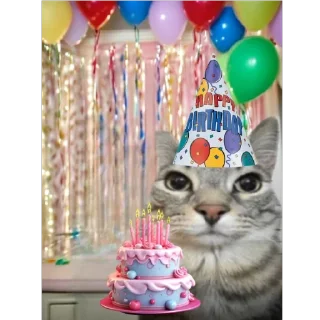 Sticker Кот тупой - 11