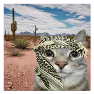 Sticker Кот тупой - 1